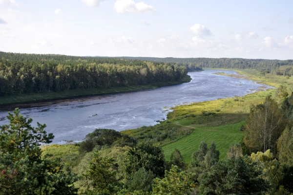 Latvian Border Guards Report New Ingenious Smugglers' Trick