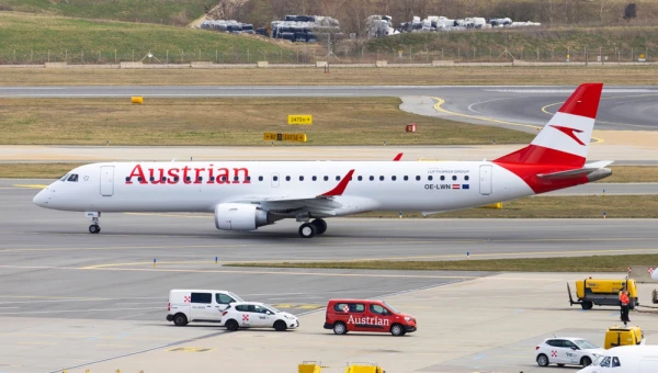 A plane with 100 passengers was unable to take off due to a single bee