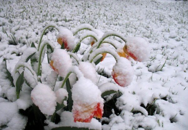 Hurry to go to nature: next week the weather in Latvia will change drastically!