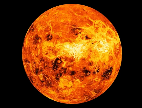 Life from Earth: Could Billions of Cells Have Journeyed to Venus?