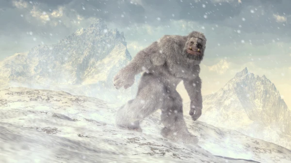 Details of the Bigfoot Investigation Revealed in the U.S.