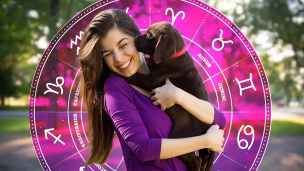 The Stars Will Guide You: Which Pet to Choose According to Your Zodiac Sign