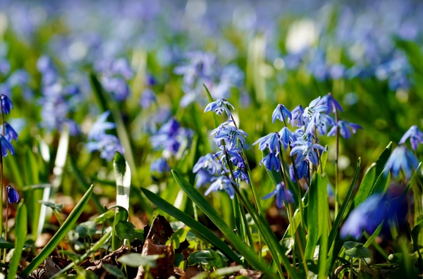 The day will be dry and sunny