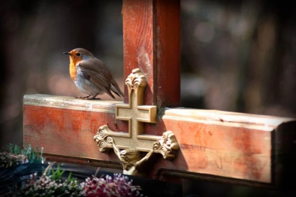 Radonitsa. What Orthodox Christians in Latvia Can and Cannot Do on April 21