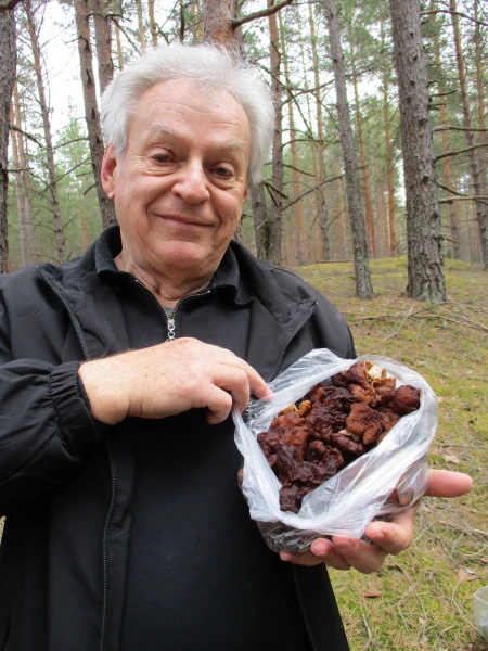 The First Mushrooms Have Emerged in Latvian Forests