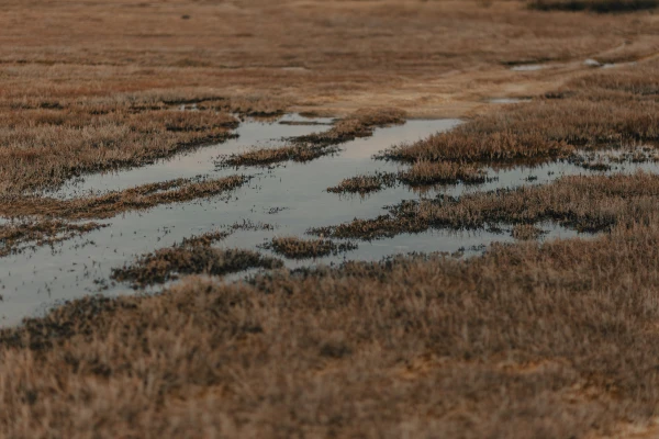 Spring Without Disasters: Latvia Avoided Major Floods