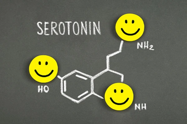 Low Serotonin Levels and Depression: Doctor Explains How They Are Related