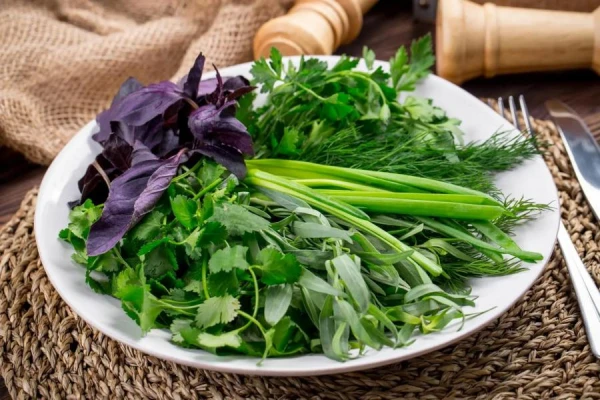 Doctor Myasnikov: Greens Can Be Dangerous for People with Kidney Stones