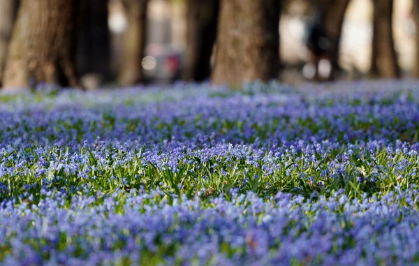 It will be sunny on Wednesday and the wind will strengthen