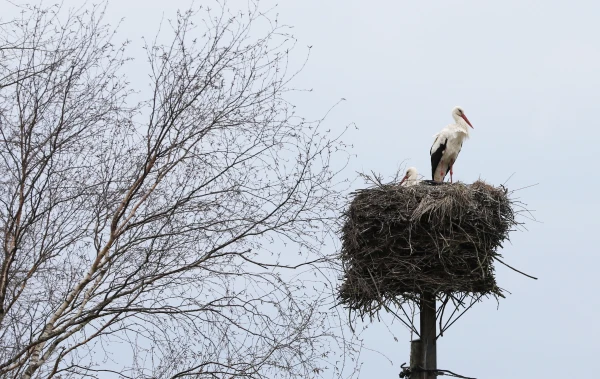 Prepare for Bad Weather: Wind, Snow, and Even Hail This Weekend