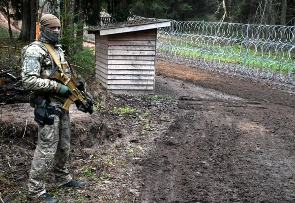 A bear tried to escape from Latvia, but it was not meant to be - the border is locked