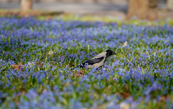 Gusty winds are expected on Thursday