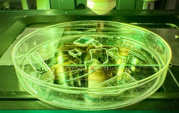 Breakthrough in the Fight Against Viruses: A Plastic Film Created That Physically Destroys Infections