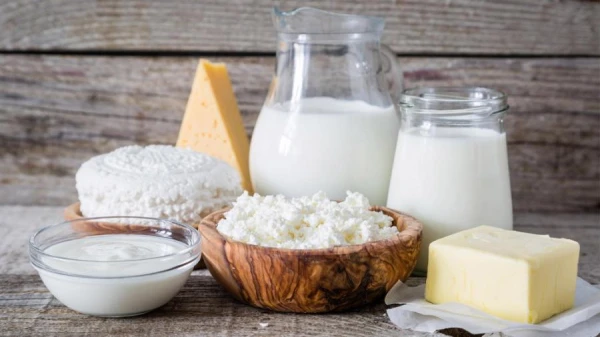 Foods That Promote Better Stomach and Intestinal Function