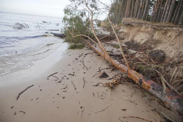 It’s wiser not to leave home - forecasters gave a grim forecast for the weekend