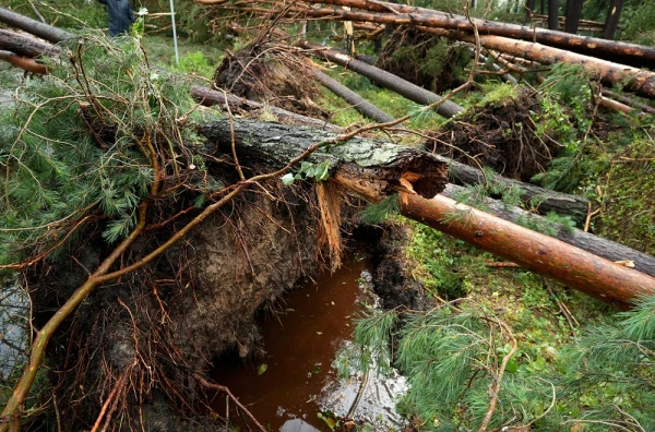 Due to the approaching storm, residents of Riga are urged not to visit parks, playgrounds, and cemeteries on Sunday