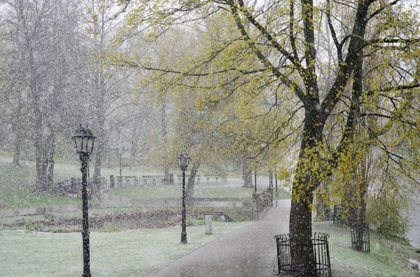 Will there be a storm on Sunday or not? Forecasters updated the forecast