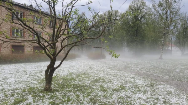 Storm with Rain, Snow, and Hail - A Natural Disaster Approaches Latvia
