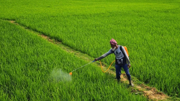 Shocking Discovery: Biologist Identifies Link Between Herbicide and Colon Cancer in Youth
