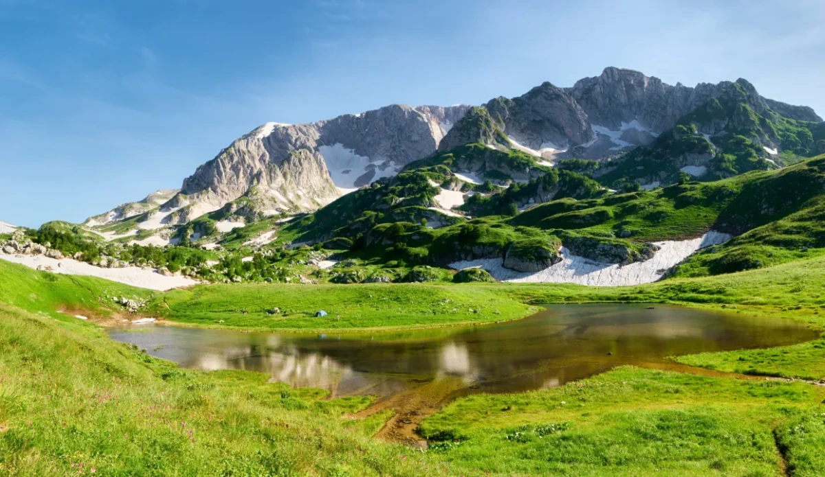 Watching nature videos can have the same effect as real walks