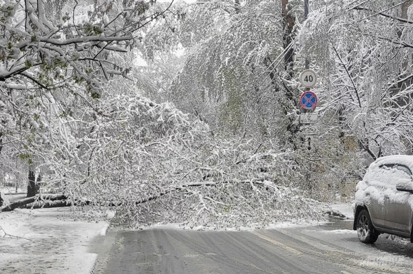 The Phenomenon of the Polar Vortex. The Cause of the Unleashed Fury in Latvia Named
