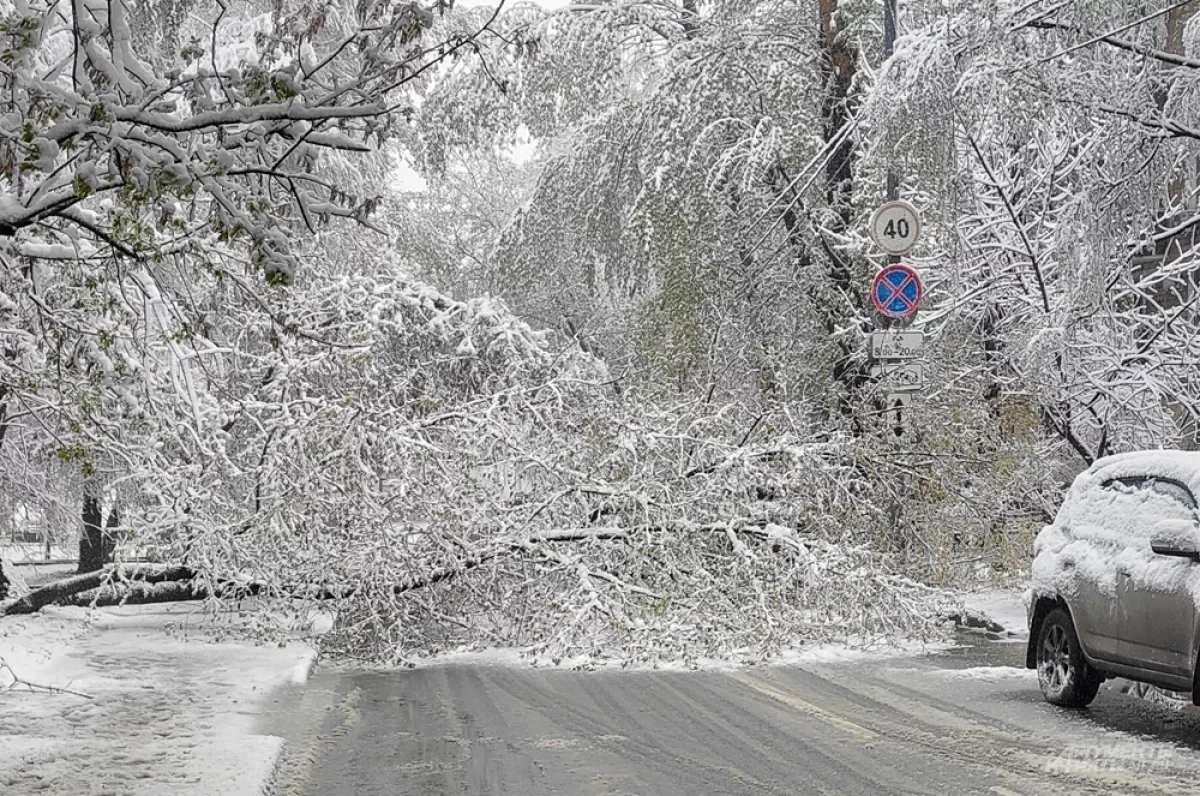 The Phenomenon of the Polar Vortex. The Cause of the Unleashed Fury in Latvia Named