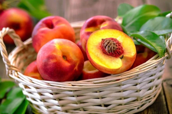 Why You Should Include Nectarine in Your Diet