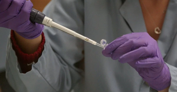 Genetics Rewrite History: Scientists Question the Main Theory of Human Origin