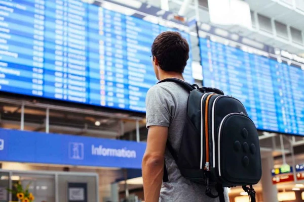 Traveling Under the Sign of Uncertainty: Why This Summer You Might Get Stuck at the Airport