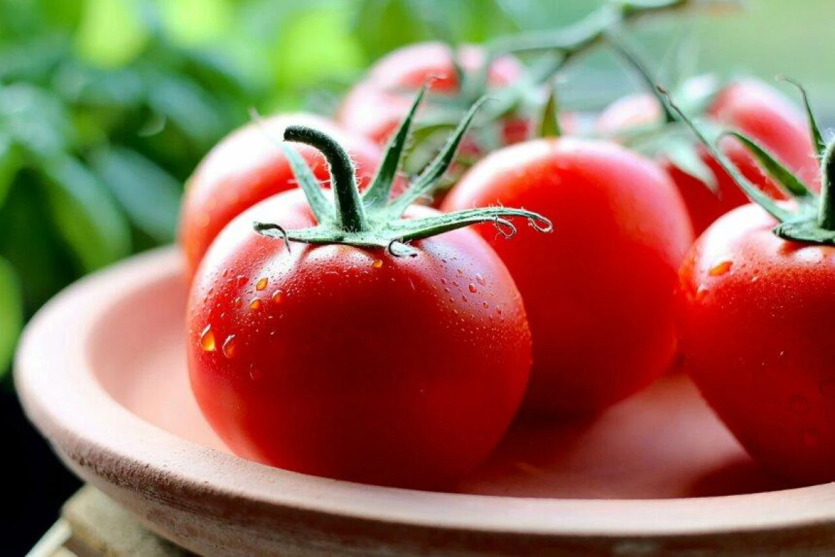 Tomatoes in Question: Who Should Be Cautious with This Popular Product