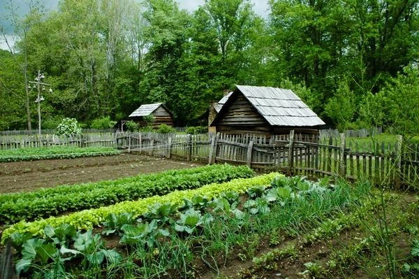 The Gardens of Our Salvation: Riga Offers Land Plots for Growing Food