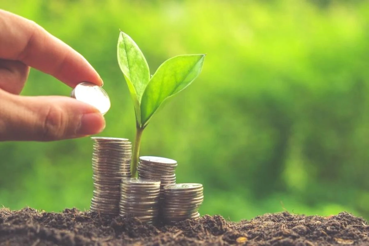 Kuzma the Gardener: What Needs to Be Done on May 1 to Avoid Financial Losses