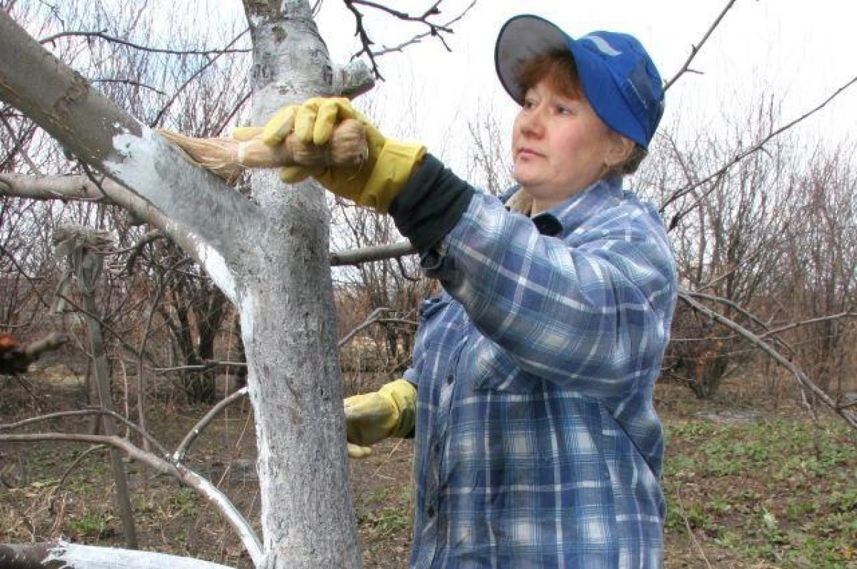 What is the role of lime in the garden?