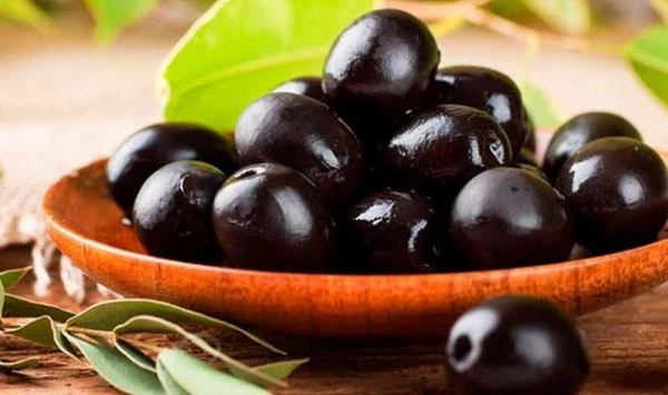 The Health Benefits of Olives