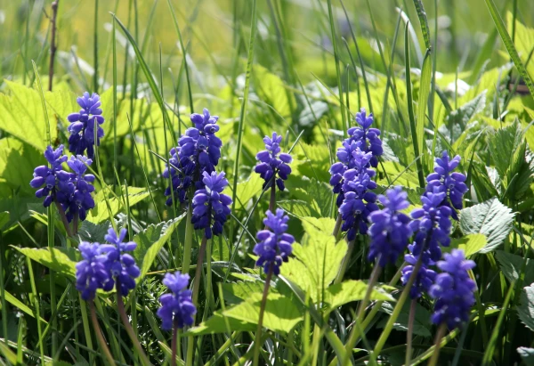 The air temperature on Wednesday will remain below +10 degrees