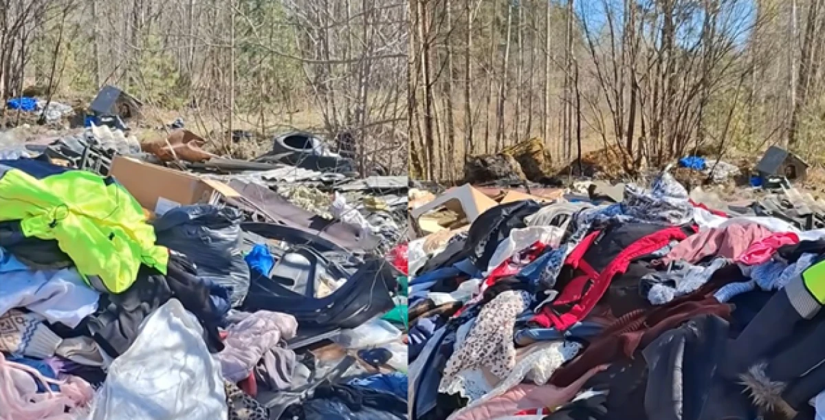 Animal Outlet - Mountains of Clothing in the Forest Shocked Residents