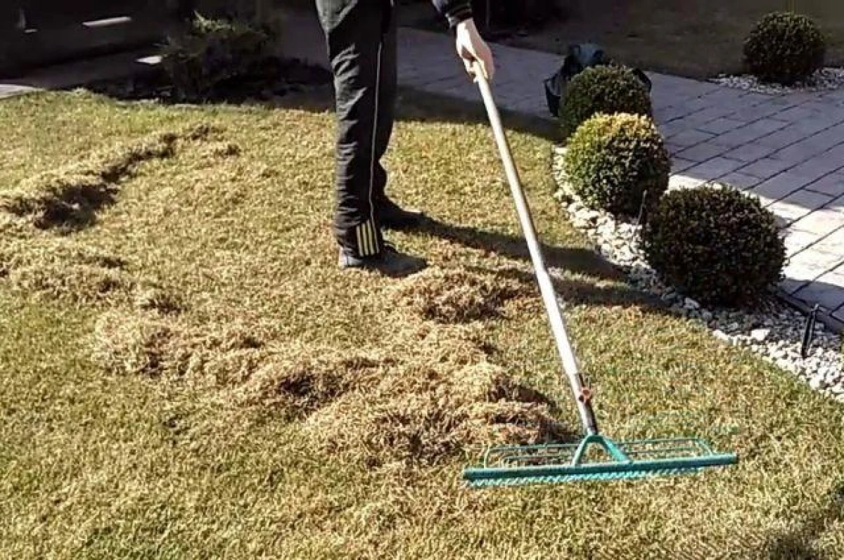 And 128 kilograms of seeds were issued - the city council approved 23 applications for landscaping in neighborhoods