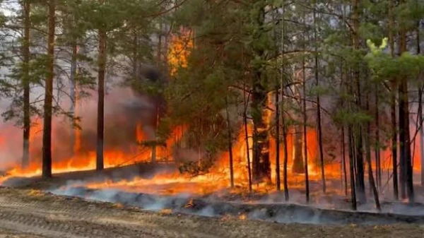 Is Global Warming Cancelled?