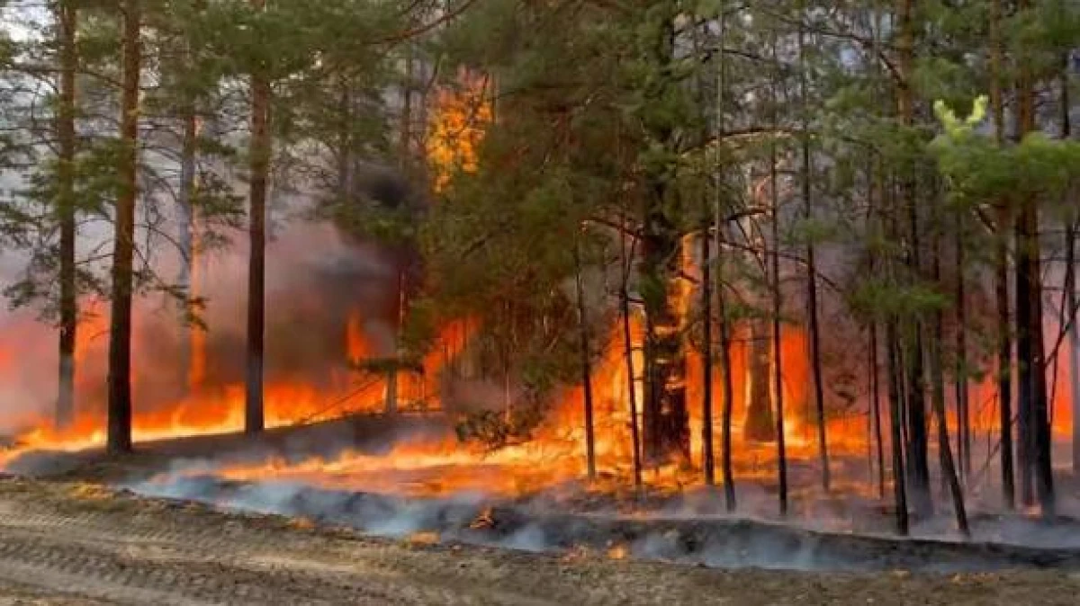 Is Global Warming Cancelled?