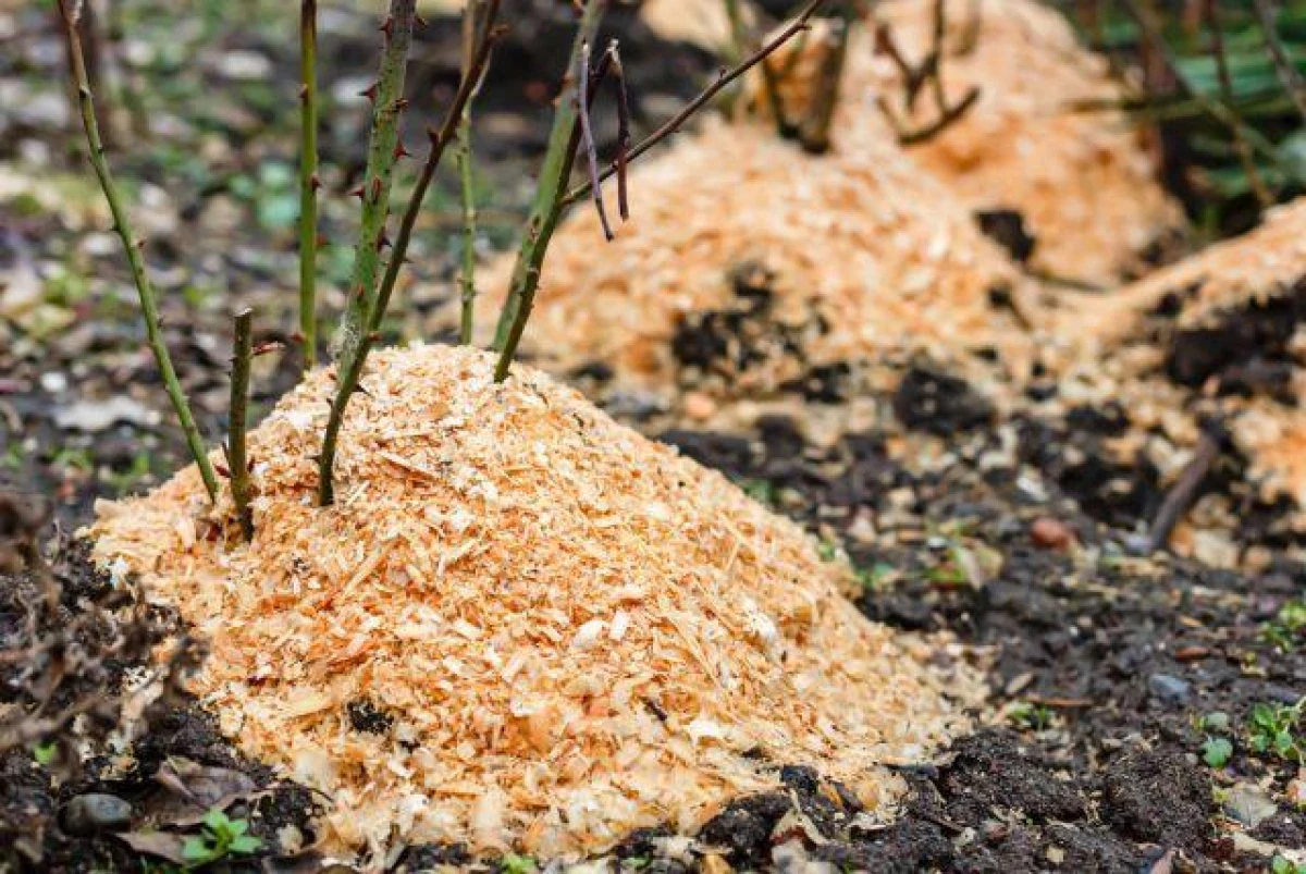 What are the benefits of using sawdust in the garden?