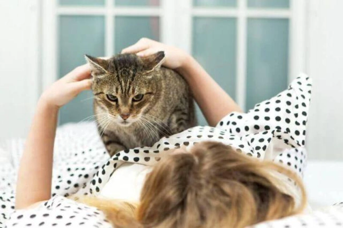 Why Do Animals Enjoy Being Petted?