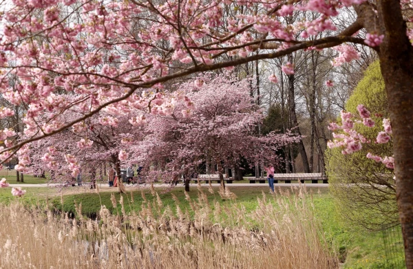 April Ends with Rain: Wet Snow Possible in Some Areas