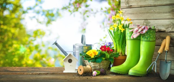 Seven Key Gardening Activities to Complete at the Dacha in May