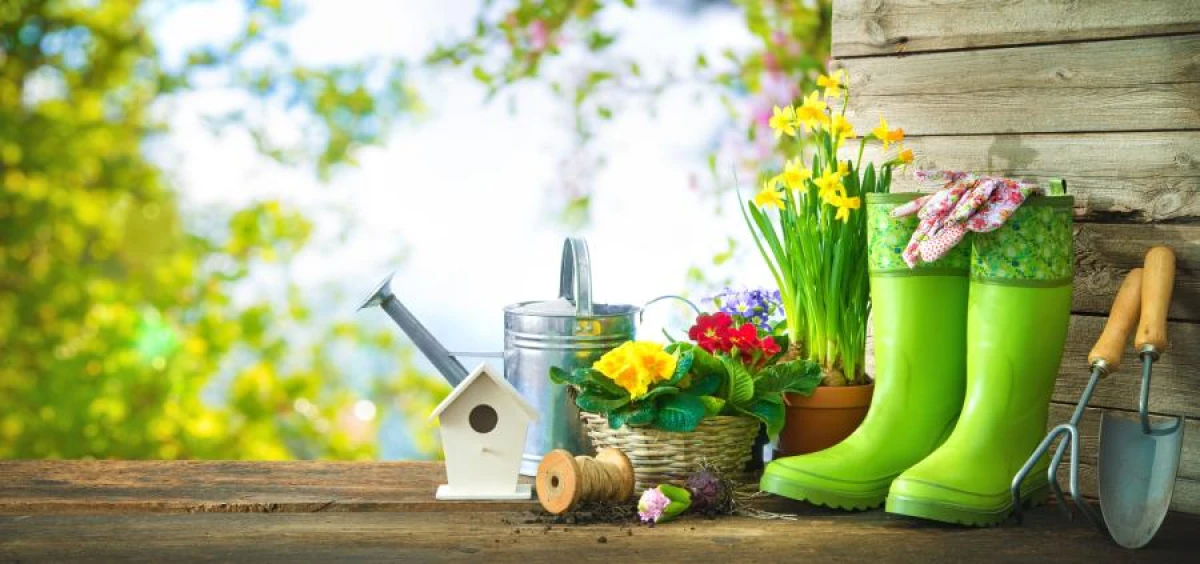 Seven Key Gardening Activities to Complete at the Dacha in May