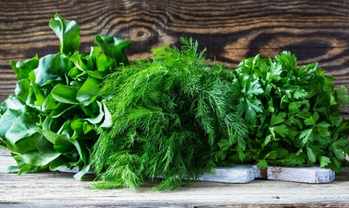 How to Properly Store Greens in the Refrigerator to Keep Them Fresh for a Week