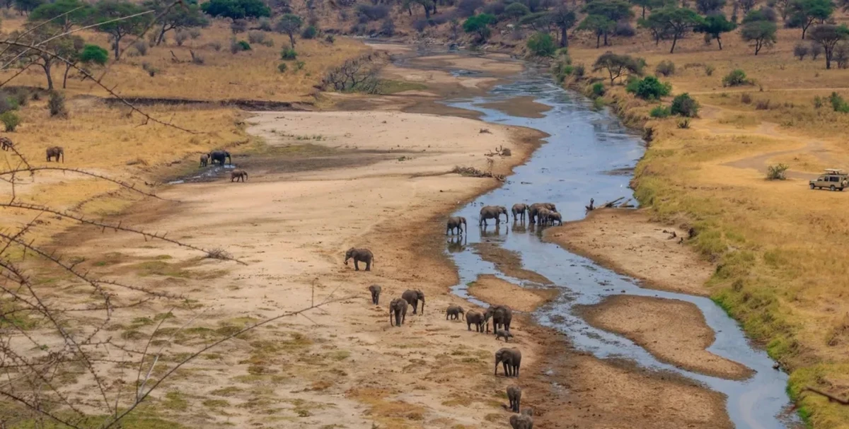 Africa is Splitting Apart Faster Than Previously Thought: The Process Has Reached a 'Critical Threshold'