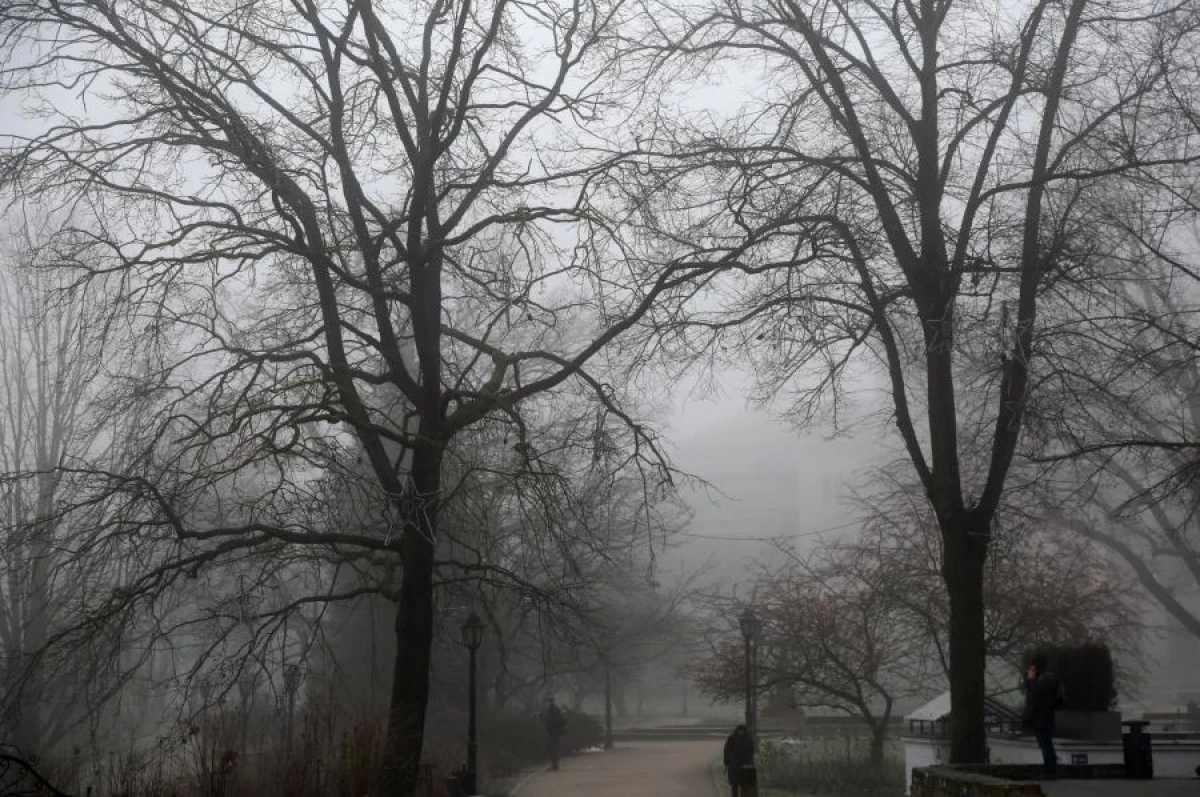 Why is there a desire to sleep before it rains?