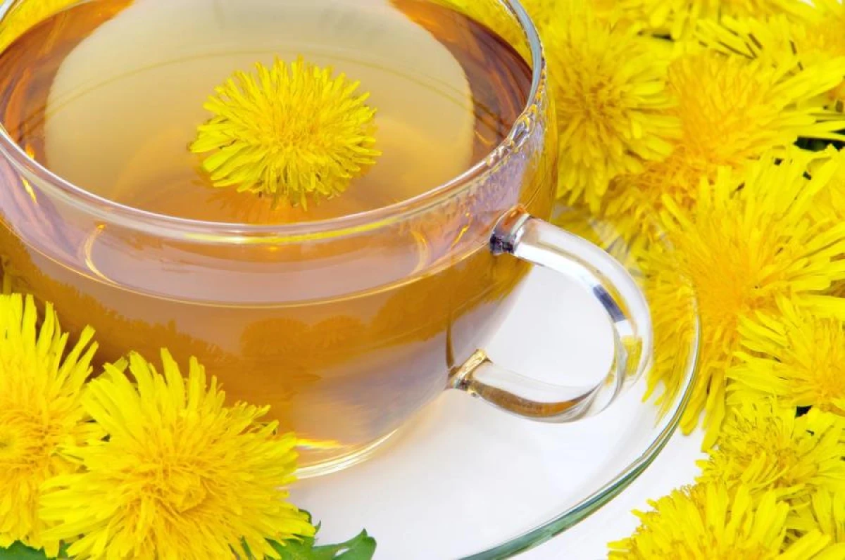 The Benefits of Dandelion Tea for the Intestines, Liver, Heart, and Fighting Cellulite