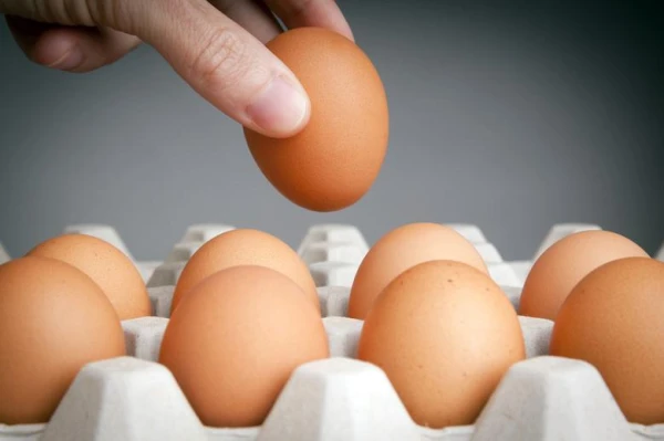 The nutritionist explained how many boiled eggs can be consumed per day