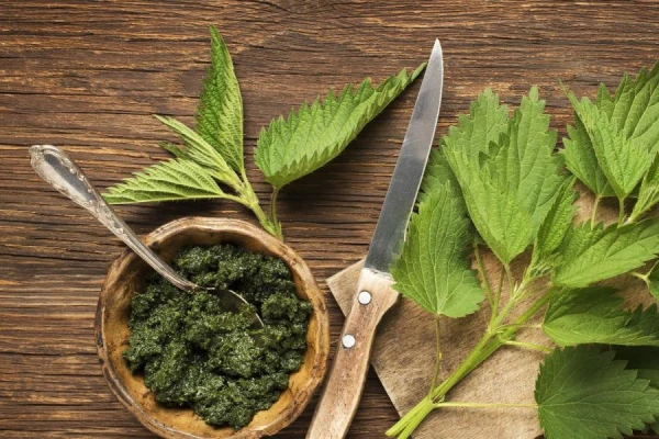 Nettle Soup: A Healthy and Delicious Recipe